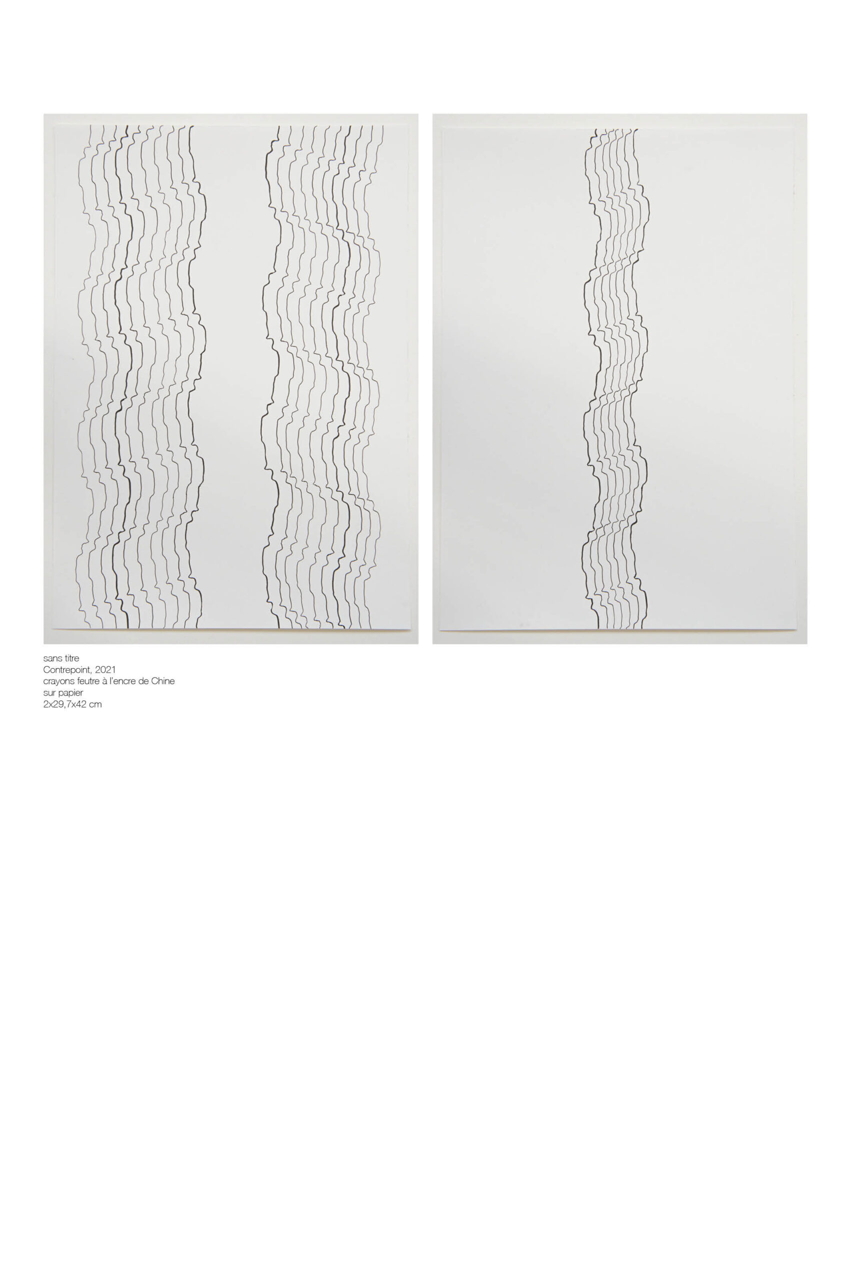 Contrepoint, série Contrepoint, Fabien de Chavanes